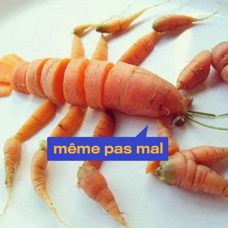 Les recettes veggie et Noël-friendly qui mettent tout le monde d’accord
